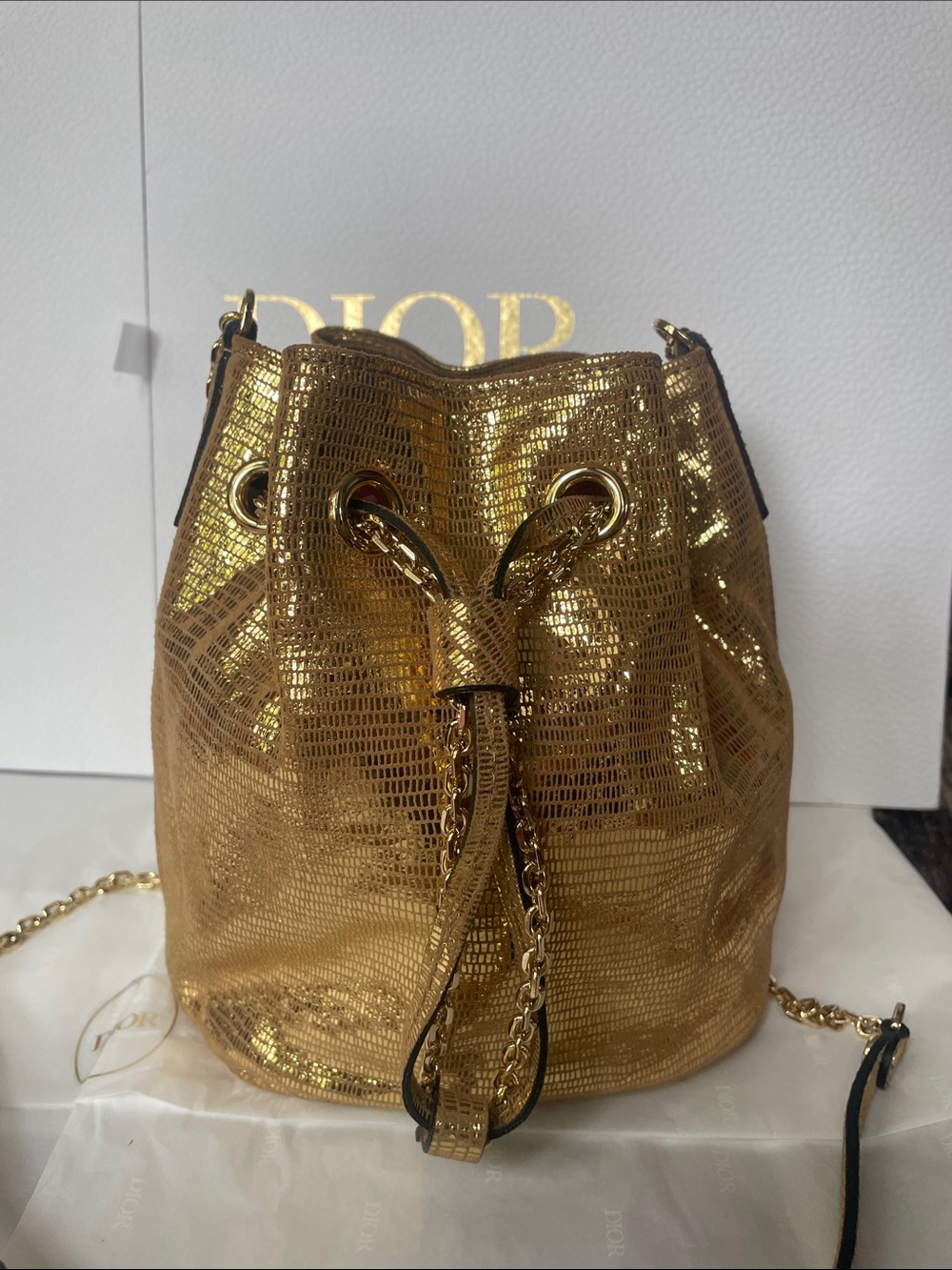 Authentic Gianni Chiarini Gold Chain Accent Bucket Bag Luxury Shoulder Crossbody - Picture 2 of 14